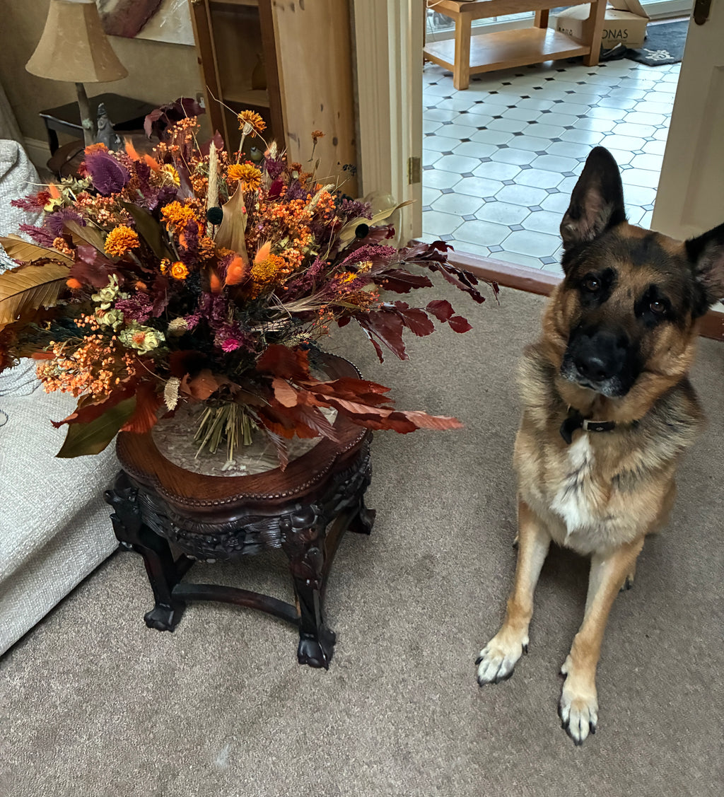 Forever Autumnal